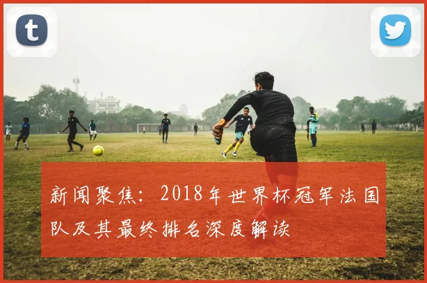 新闻聚焦：2018年世界杯冠军法国队及其最终排名深度解读